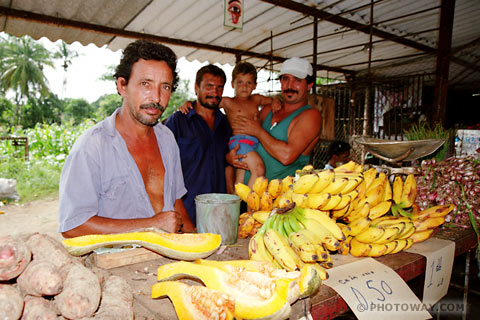 images in the West Indies photos of fruits and vegetables in Cuba West Indies photo