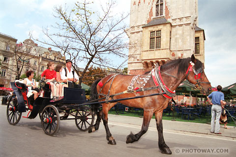 image Tourist guide in Poland travel information for tourists in Poland