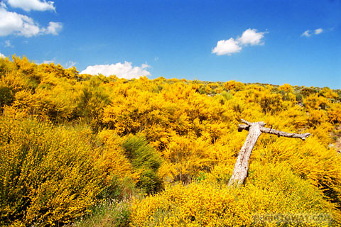 Image of Spanish landscapes photos of landscapes in Andalusia photo Spain