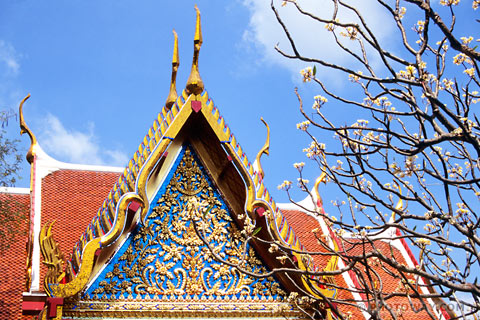 image of temples images in Bangkok images of temples
