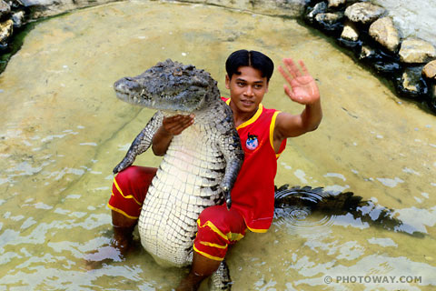 Photos of Thai Artist photos of young Thai artist in crocodile show Thailand