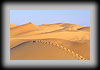 Desert trip