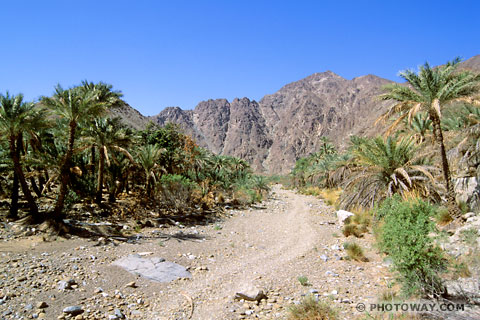 Image of a territorial enclaves photos of Madha enclave Sultanate of Oman