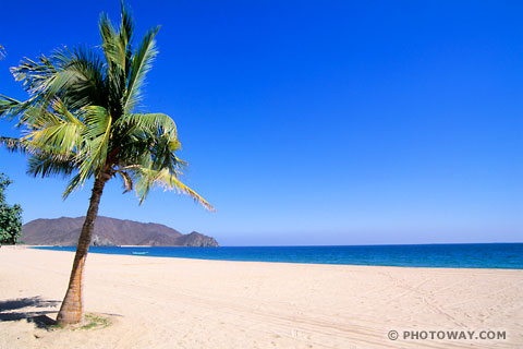 Image Khor Fakkan photos Khor Fakkan Beach photo in United Arab Emirates