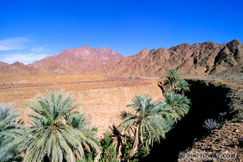 Image Photo of a Wadi photos of cracks in ground photo of Wadi crack