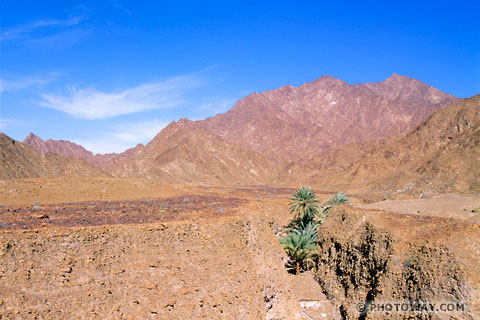 Image of Mars photos of Hajar Mountains photo of Mars landscape Arab Emirates