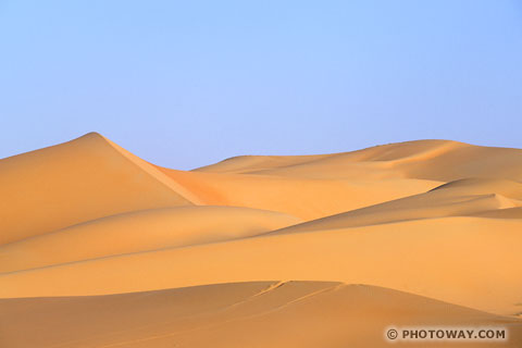 Image Dunes photo stock photo Photo of tire tracks in the dunes pictures