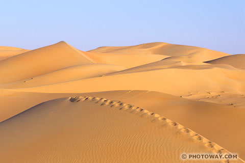 Image Desert Trekking in desert Trek in the desert trekking in Emirates