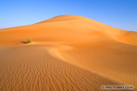 Image sands Photos sand and dunes Photo of sand in the arabian - UAE