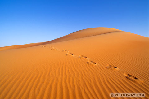 Image Footsteps in sand photo of footsteps in sand photos footsteps sand