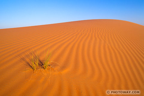 Sand photo of sand of a dune photos of sand and dunes in desert